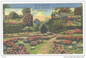 3-Views, Sunnyside Rose Garden, Charlotte, North Carolina, 1930-1940s