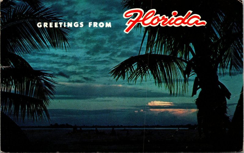 Vtg 1970s Greetings from Florida Sunset and Coconut Palms FL Postcard