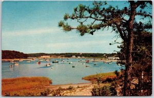 1967 Ryders Cove Chatham Cape Cod Massachusetts MA Boating Posted Postcard