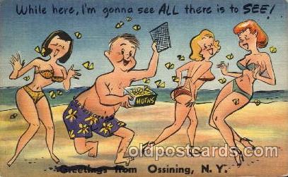 Ossining, NY USAWhile here im gonna see all there is to see Comic Postcard Po...