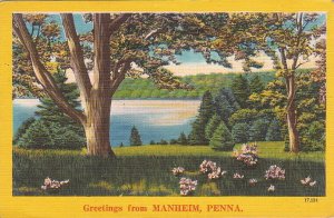 Postcard Greetings From Manheim PA