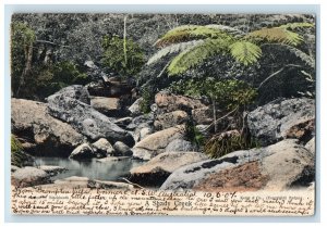 1907 Blackheath Shady Creek Sydney Australia AU Posted Antique Postcard