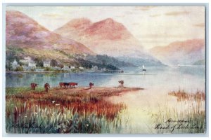 c1910 Arrochar, Head of Loch Long Argyll and Bute Oilette Tuck Art Postcard