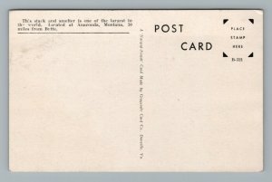 Big Stack Smelter Anaconda Montana Vintage Postcard