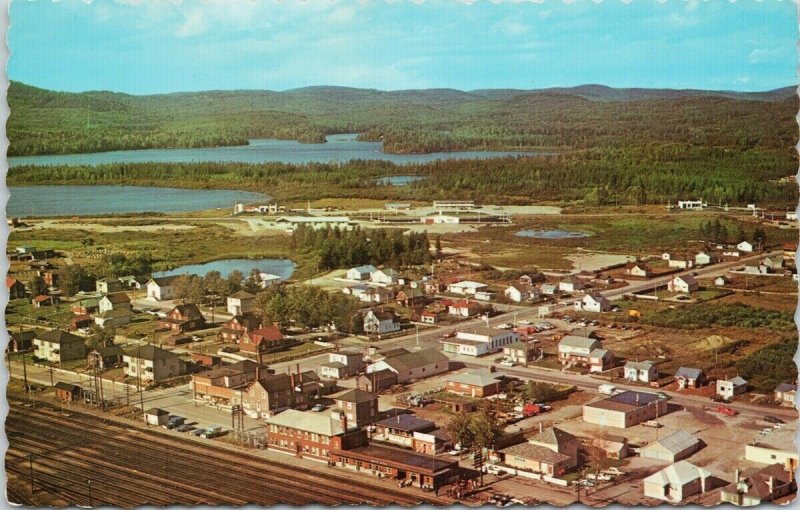 White River Ontario ON Birdseye Unused Vintage Postcard F99 