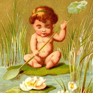 1880s Blank Generic Gold Cute Baby Victorian Trade Card Gnome Lilypad Unused C2