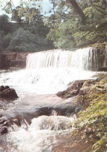 BR89740 the upper falls aysgarth yorkshire  uk