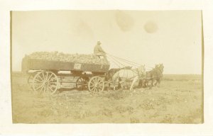 Postcard RPPC View of Horse Pulled Harvesting Wagon in the Midwest, US.  L1