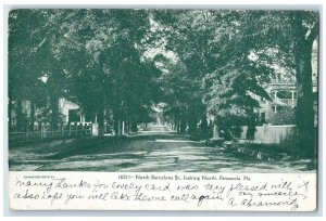 1908 North Barcelona Street Looking North Pensacola Florida FL Posted Postcard