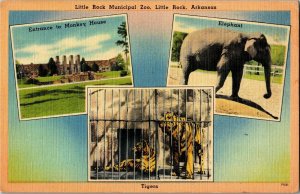 Multi View, Little Rock AR Zoo, Tigers, Elephant, Monkey House Vtg Postcard R34