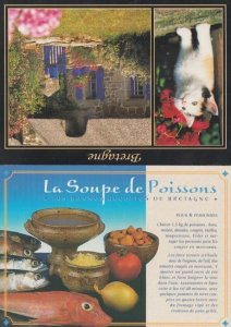 Fish Soup Bretagne France Poissons La Soupe De Francais + Cat Chat 2x Postcard