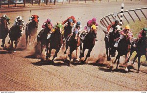 Race Horses, Saratoga Race Course, SARATOGA SPRINGS, New York, 40-60's