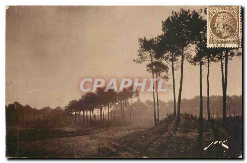 Old Postcard Arcachon Gironde sweet autumn morning in the forest to the dunes