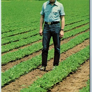 c1970s Archery GA US President Jimmy Carter Walks His Peanut Fields Farm PC A238