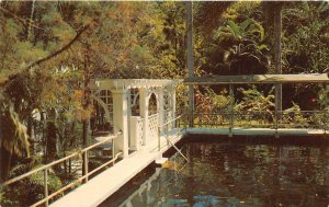 Ft. Myers Florida 1967 Postcard Thomas A. Edison Home Swimming Pool