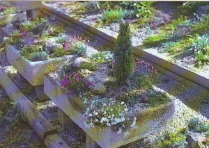 Connecticut Faifield Trough Gardening At Oliver Nurseries