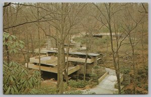 State View~Fallingwater Masterwork @ Mill Run Pennsylvania~Vintage Postcard 