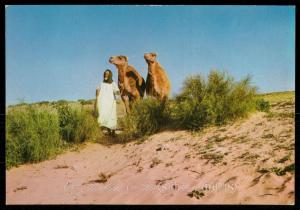 2 Chameaux au Sahara