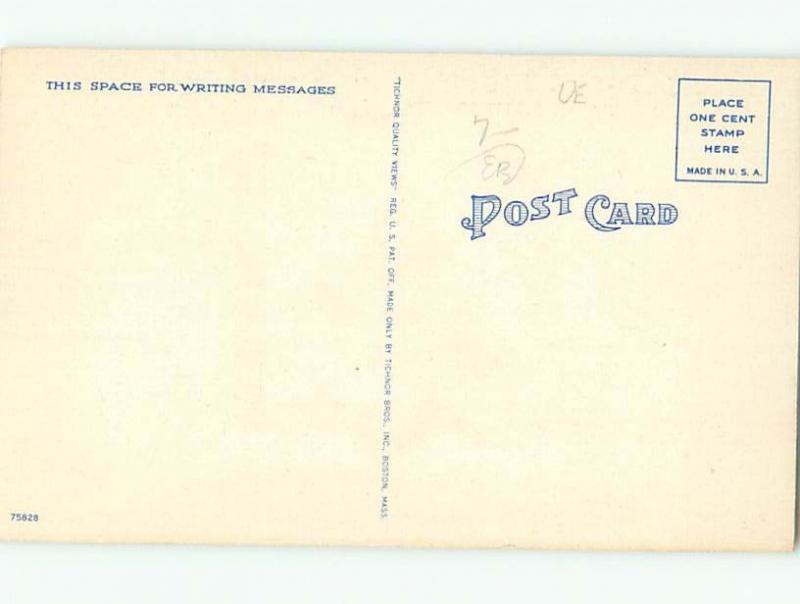 Linen Black Americana RUNNING AFTER A BATH AC0563