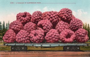 13070 Exaggeration: A Carload of Raspberries 1910