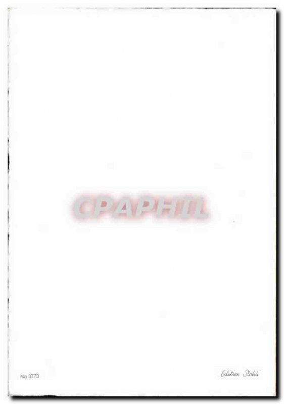 Modern Postcard Greetings bird