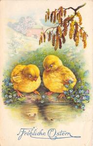 BG14615 chick  flower ostern easter  germany