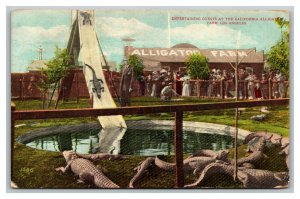 Vintage 1920's Sliding Gators California Alligator Farm Los Angeles California