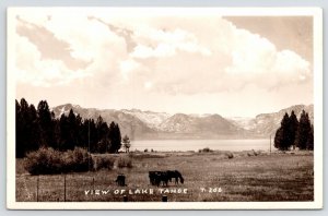 Lake Tahoe-Vallejo CA~Soldier Mail~Ed T Bettles, Minneapolis~Horses~Clouds~RPPC 