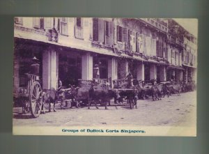 Mint Singapore Real Picture Postcard Ox pulling Carts