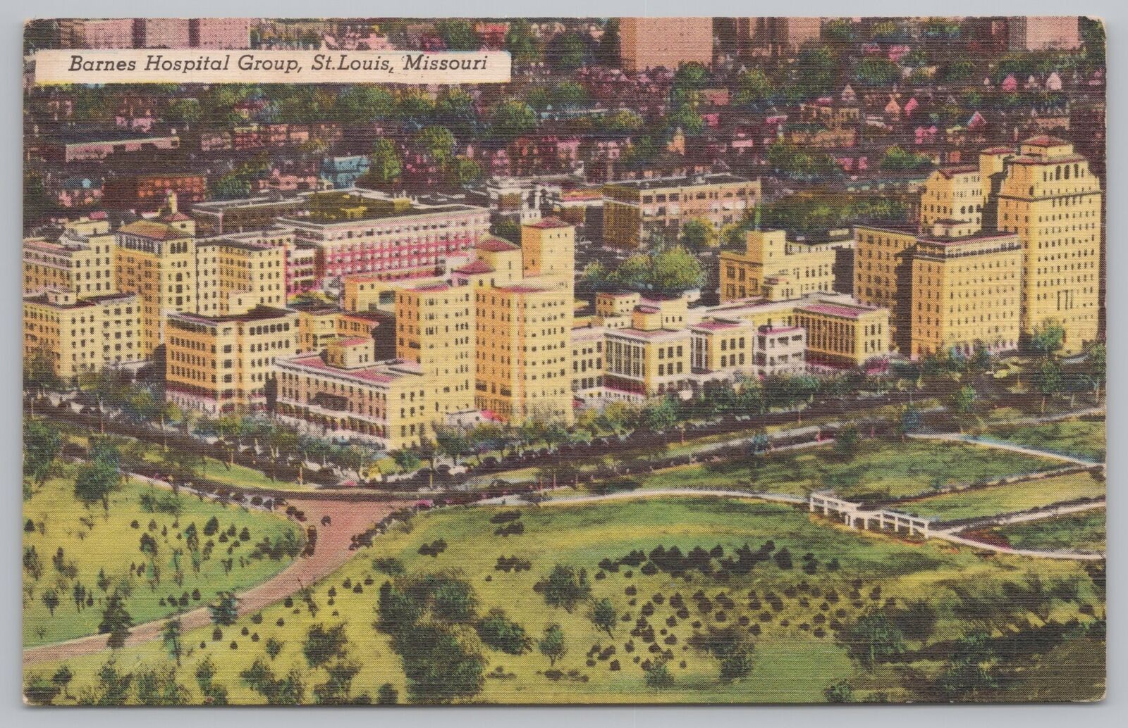 LinenBirds Eye Barnes Hospital Group St Louis MissouriVintage
