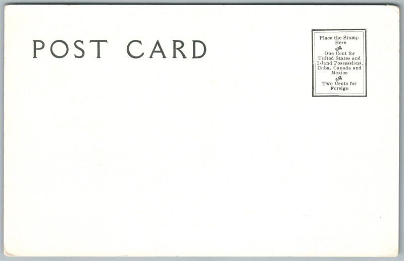 BLACK AMERICANA BABIES WISH YOU'D HUSH UNDIVIDED ANTIQUE POSTCARD 