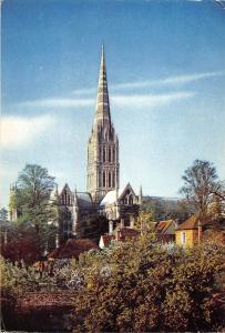BR83184 the cathedral salisbury wiltshire uk