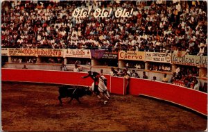 Mexico Tijuana Bullfighter On Horseback