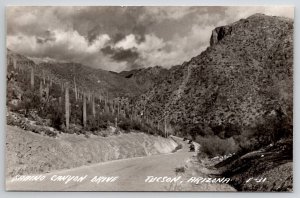 Tucson AZ RPPC Sabino Canyon Drive Real Photo Postcard V23