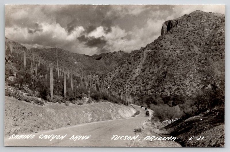 Tucson AZ RPPC Sabino Canyon Drive Real Photo Postcard V23
