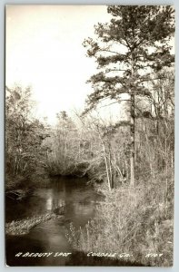 Cordele Georgia~A Beauty Spot~Swamp Ground~Creek~1949 RPPC