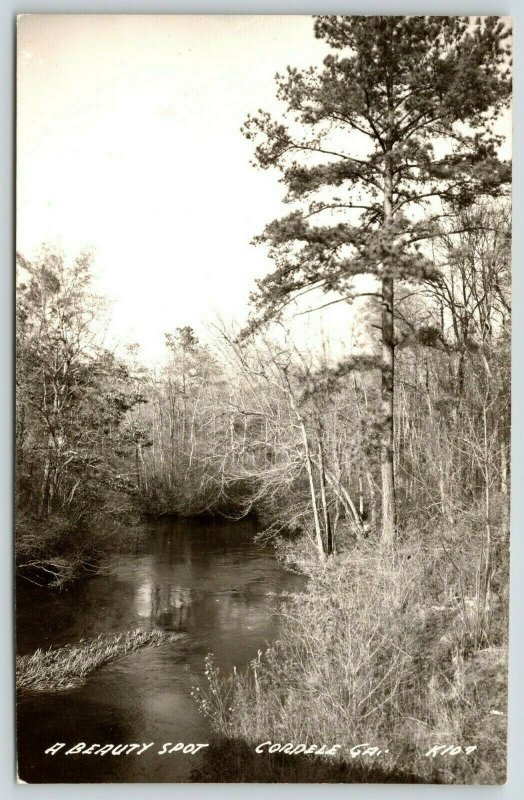 Cordele Georgia~A Beauty Spot~Swamp Ground~Creek~1949 RPPC