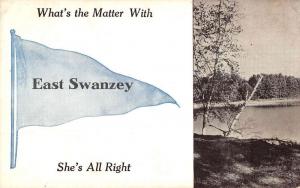East Swanzey New Hampshire Waterfront Pennant Flag Antique Postcard K89679
