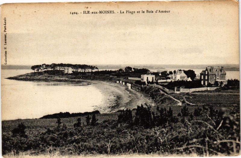 CPA Ile-sur-Moines - La Plage et le Bois d'Amour (206069)