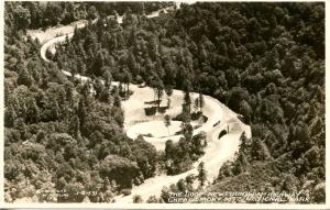 TN - Great Smoky Mountains National Park, The Loop.    *RPPC