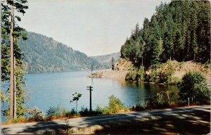 Cameron Lake BC Vancouver Island British Columbia c1959 Postcard H59