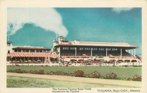 Baja California Mexico 1950s Tijuana Race Track Postcard Martinez 2-133