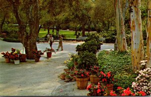 California La Canada Descanso Gardens New Entrance Court