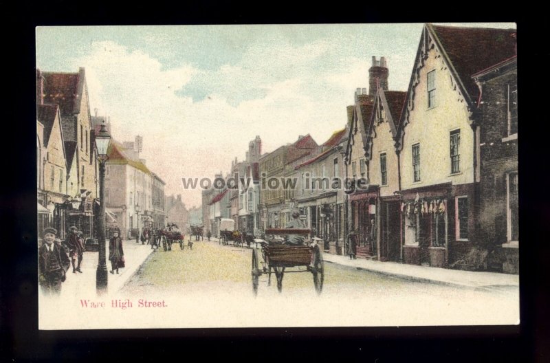 TQ3149 - Herts - Horse drawn Carts & Wagons on High Street in Ware - postcard