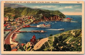 Beautiful Avalon Day And New Casino Catalina Island California CA Postcard