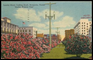 Palafox Street, Looking South, Pensacola, Fla