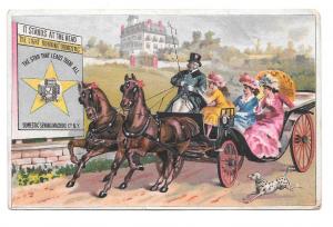 Victorian Trade Card Domestic Sewing Machine Co NY Ladies Carriage