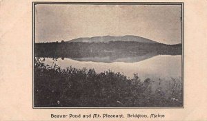 Bridgeton Maine Mt Pleasant Beaver Pond Vintage Postcard AA43305