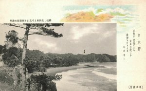 Vintage Postcard 1910's View of Beautiful Sea Water Trees Nature Japan JPN