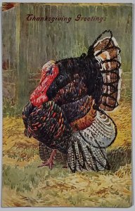 Thanksgiving Greeting Ernest Nister Glitter Decorated Turkey 1913 Postcard X9